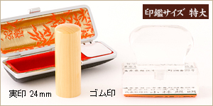 2本セット薩摩本つげ/実24＋ゴム印