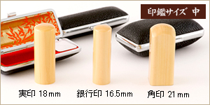 3本セット薩摩本つげ/実18+銀16.5＋角21