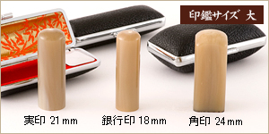 3本セット牛角白/実21+銀18＋角24