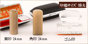 3本セット牛角白/実24＋角24＋ゴム印